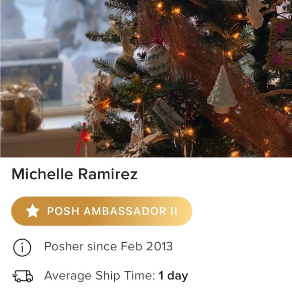 LoveShackFancy Ruffle Popover Top - Picture 12 of 12